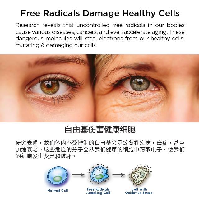 Hydrogen Water Beauty Moisturizer Mist R ( G - 2000R )