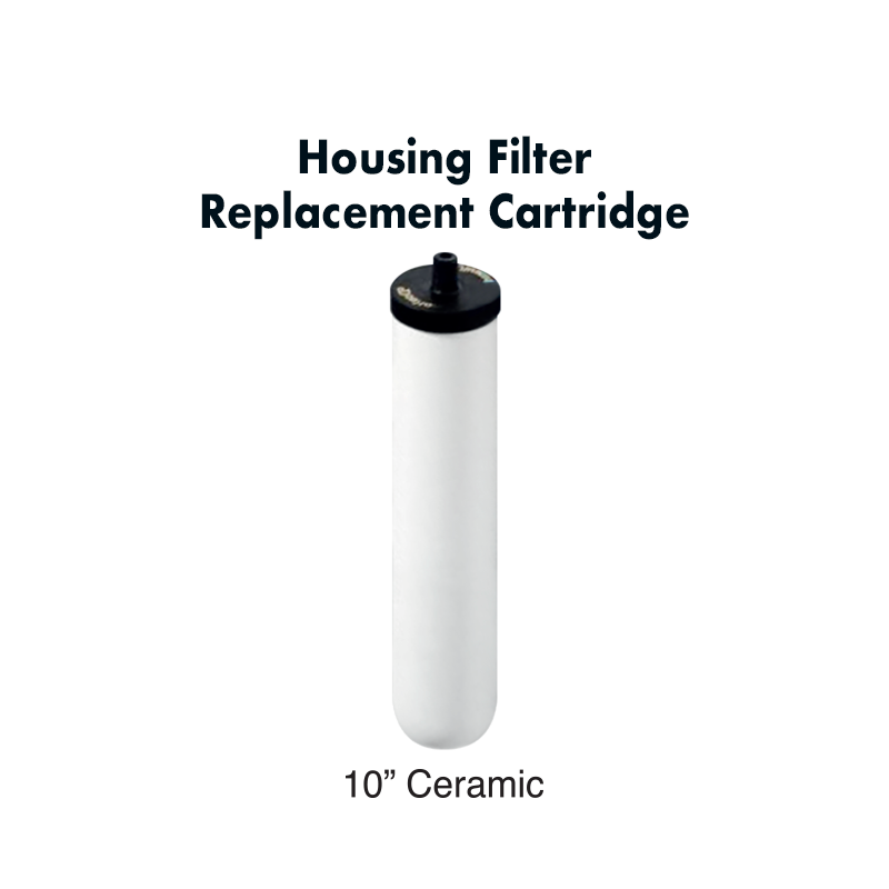 10" CTC Double Housing Countertop Filter System